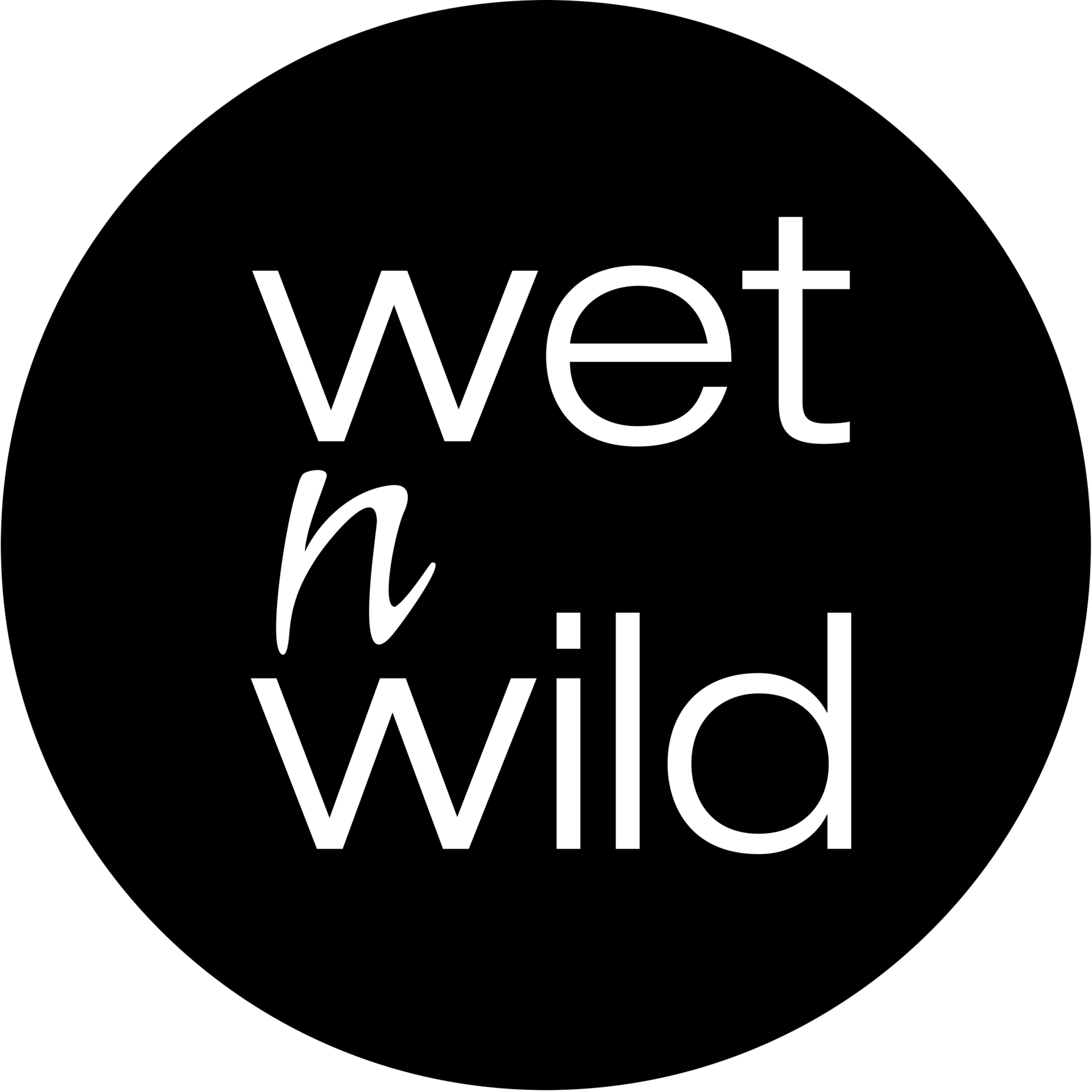 Fondo negro con texto blanco que dice "wet n wild".