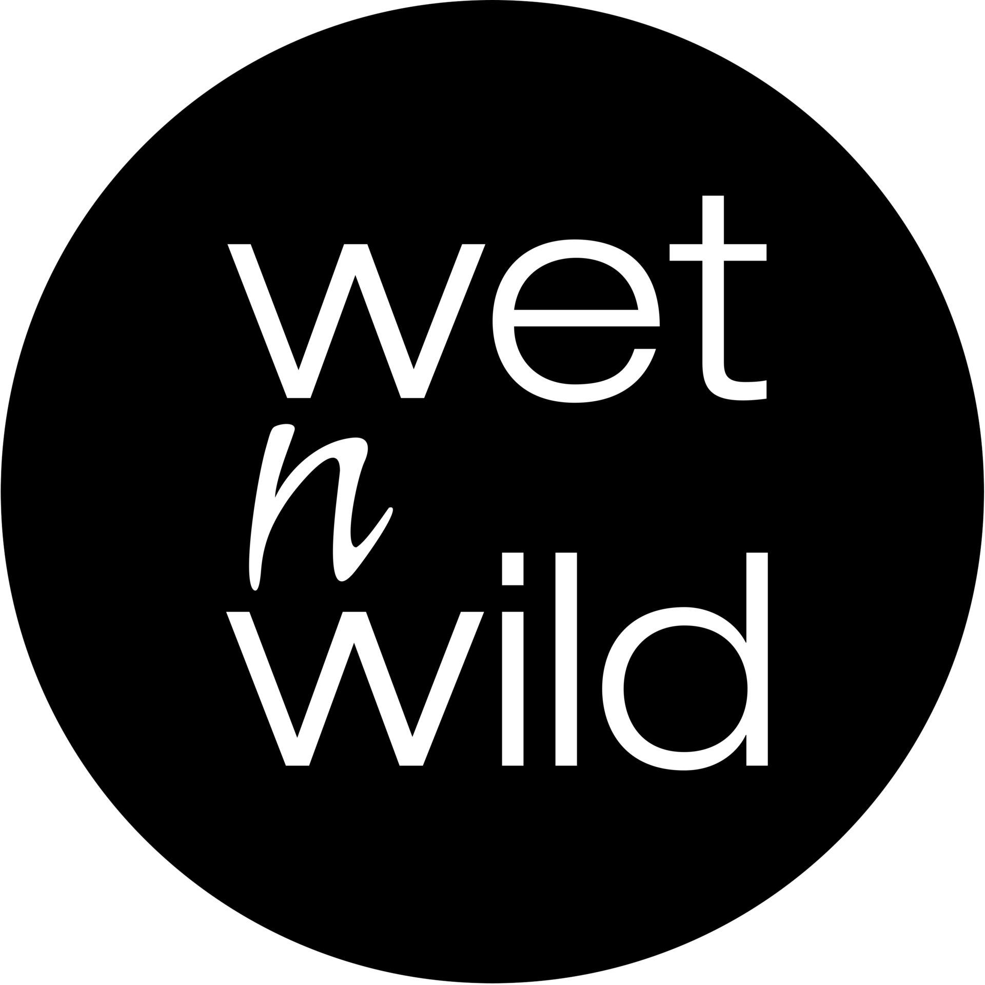 White "wet n wild" text on black background.