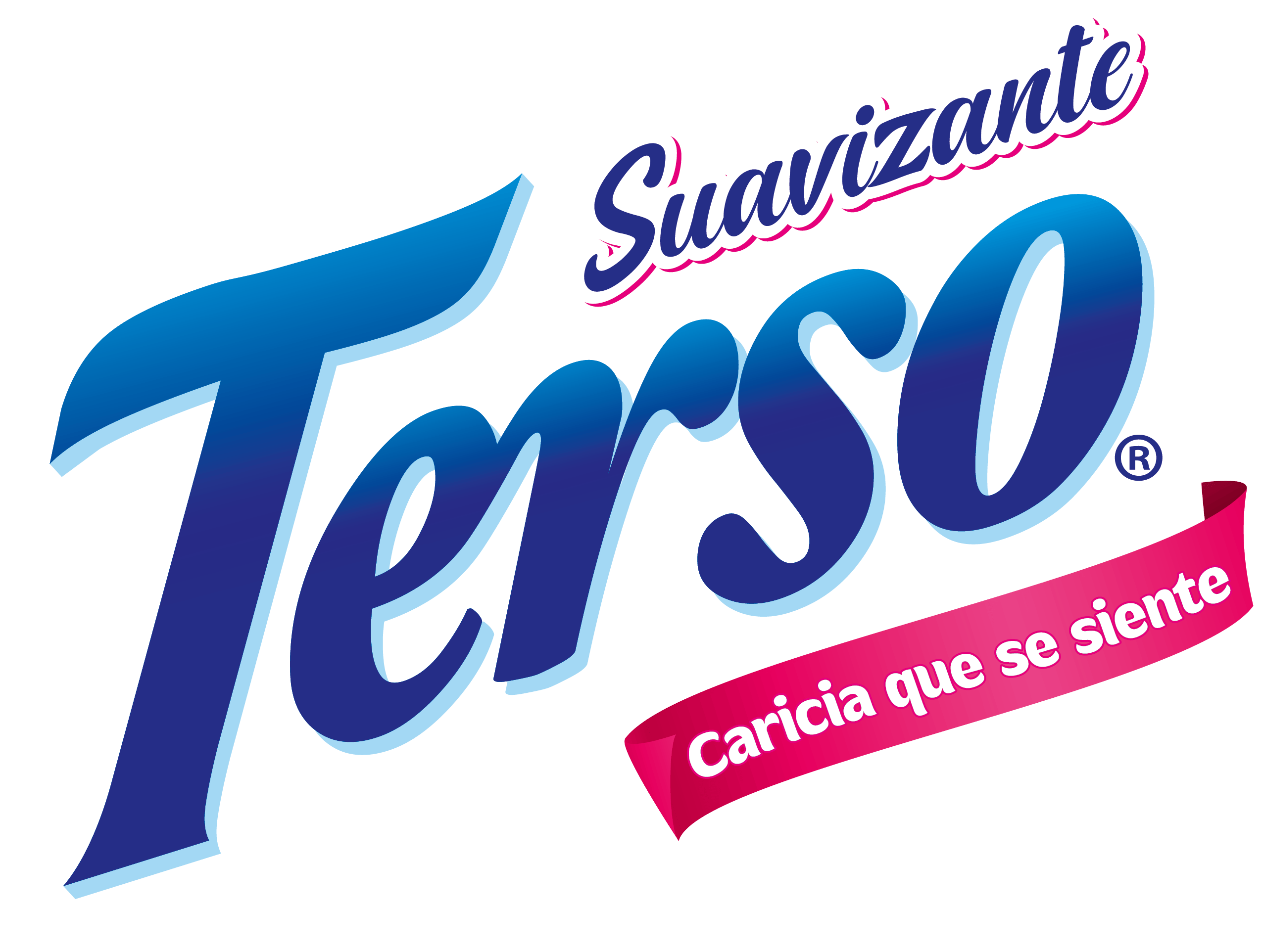 Logo Terso 2025